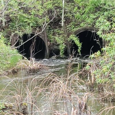 2021 May 21 - Lower Turtle Lake North End of Culvert Under Hwy 8 That Carries Lower Turtle Creek